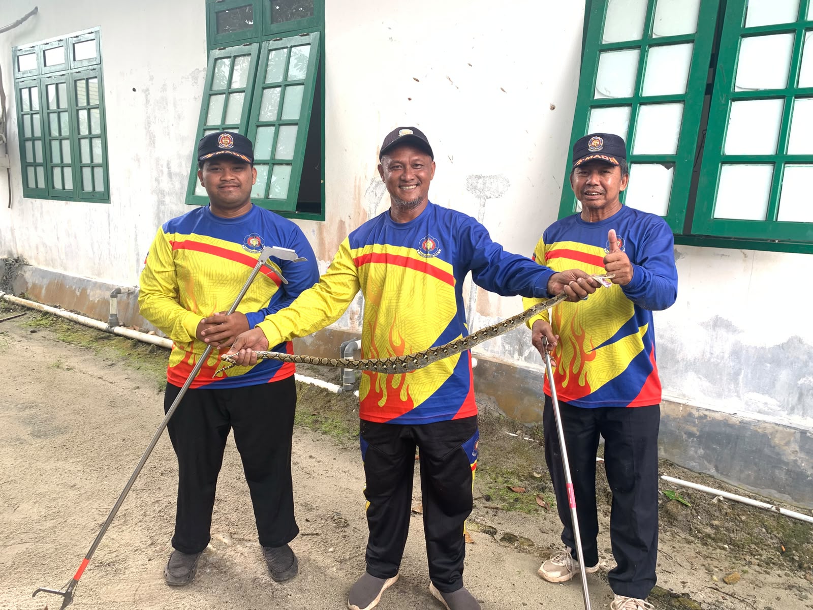 Petugas Damkarmat Seruyan Raya Berhasil Evakuasi Ular Sepanjang 1 Meter dari Plafon Rumah Warga