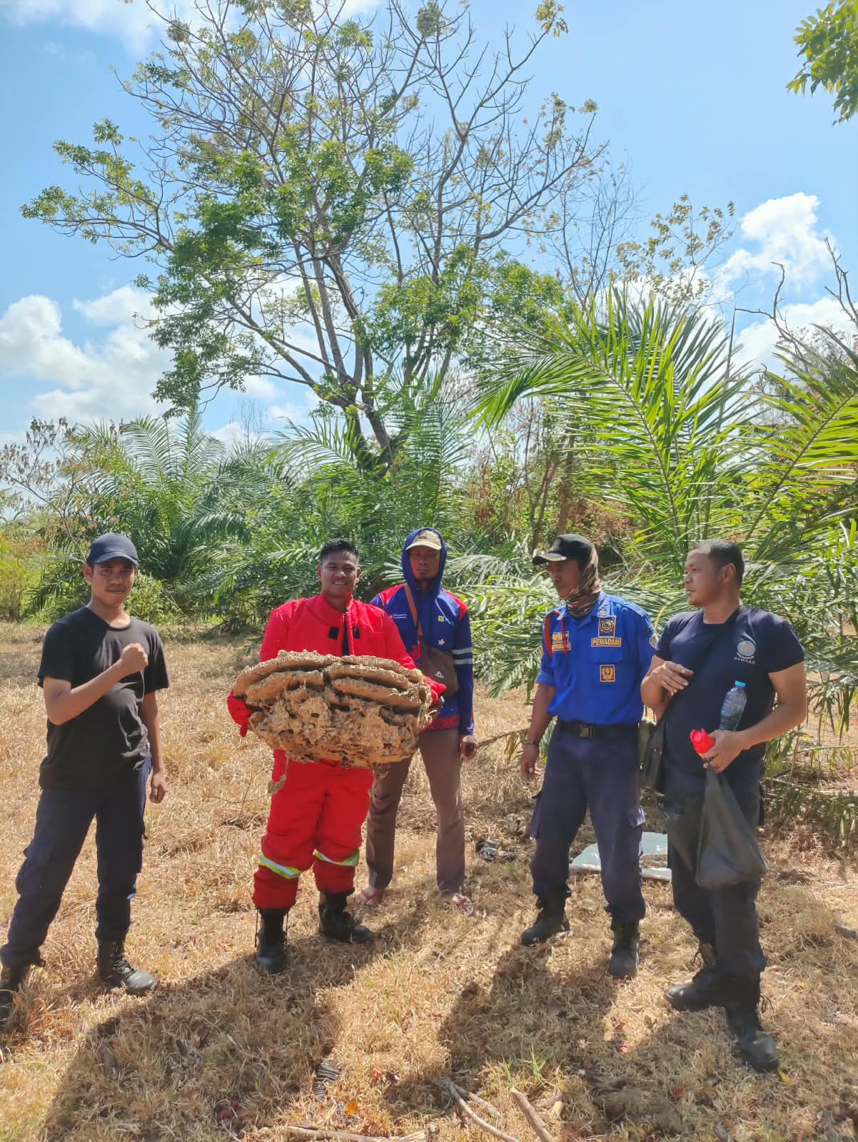 Sarang Tawon Besar Berhasil di Evakuasi Damkarmat Kabupaten Seruyan